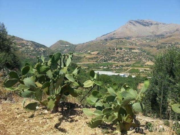 Castellammare del Golfo-Comune sblocca terreni edificabili in “lotti interclusi”