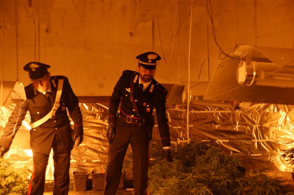 Partinico-Nello scantinato una piantagione di droga