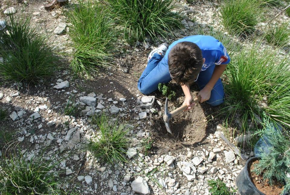 Alcamo - Gestione del monte Bonifato, la posizione di Fare Ambiente