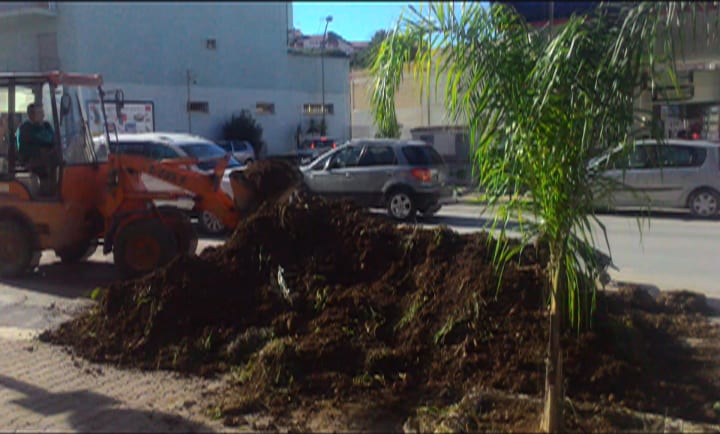 Alcamo, torna il verde in viale Italia