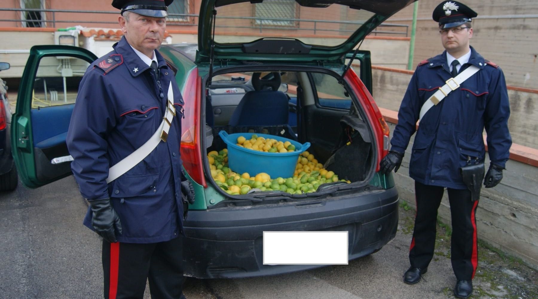 Partinico-Arrestati ladri di limoni, tre in manette