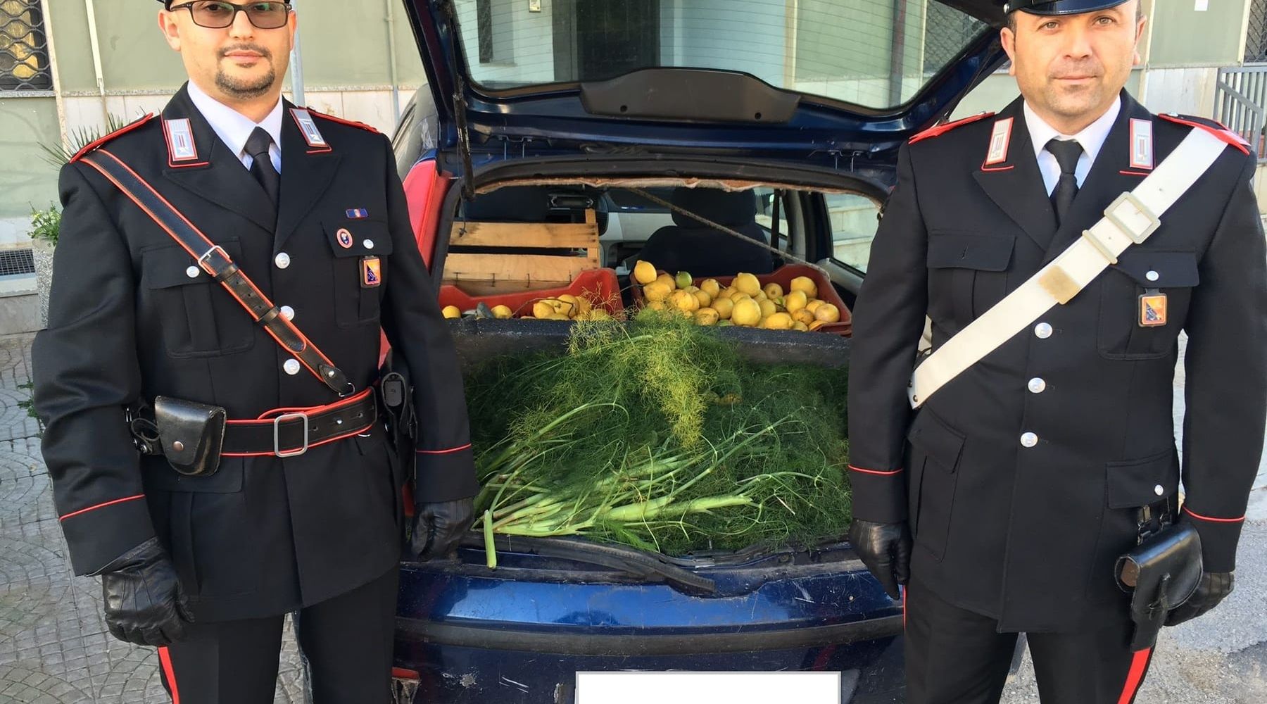 Alcamo-Tentato furto all’agriturismo dell’alcamese Chiarelli, due arresti