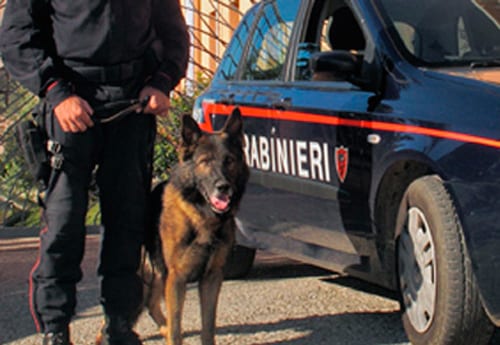 C/vetrano, droga negli zaini a scuola: segnalati cinque studenti