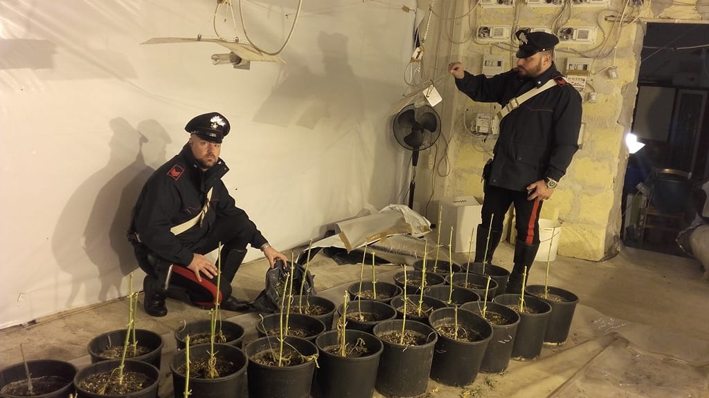 Partinico-Coltivavano cannabis in casa, arrestati padre e figlio