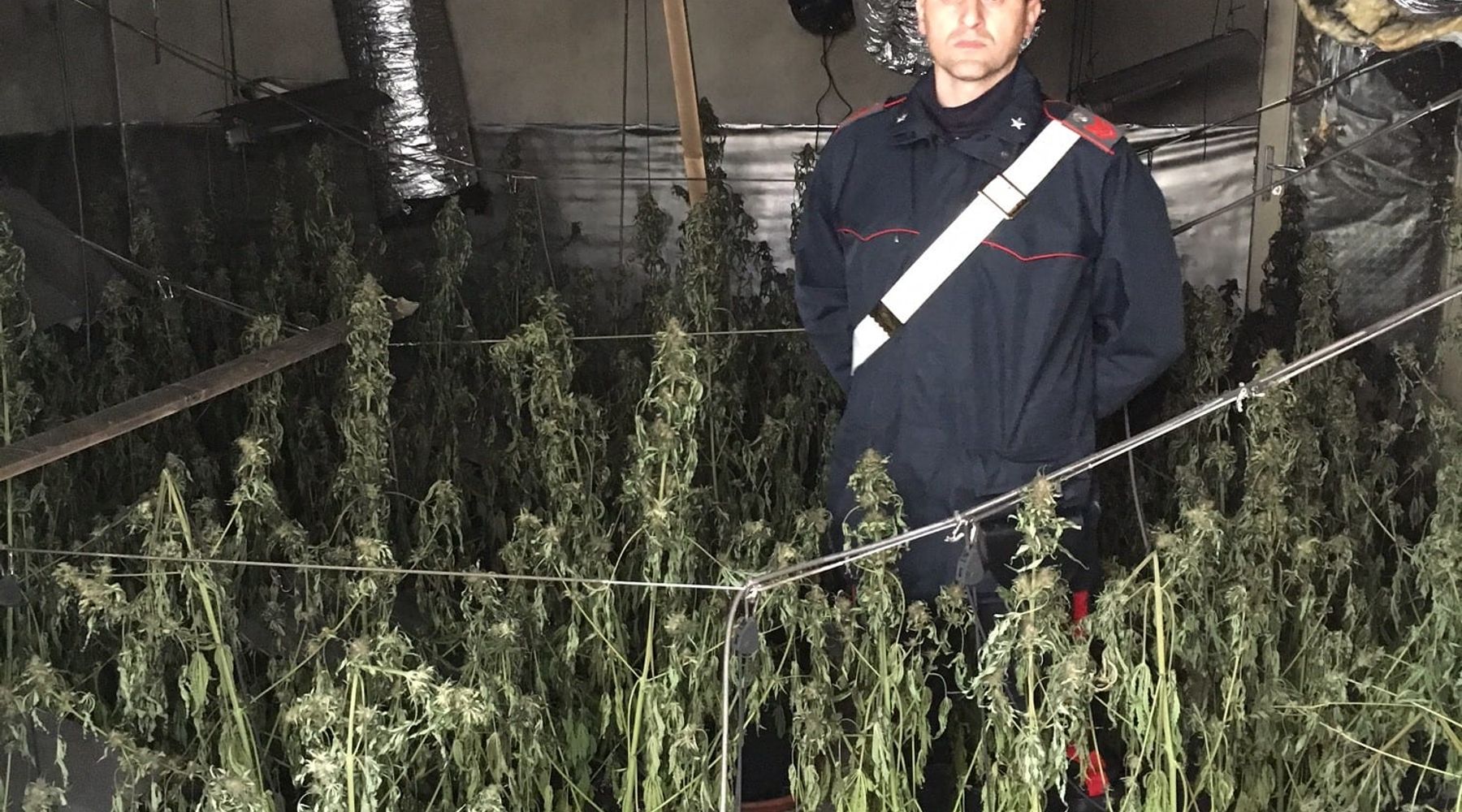 Partinico-Coltivazione di droga indoor va in fiamme, arrestato 23enne