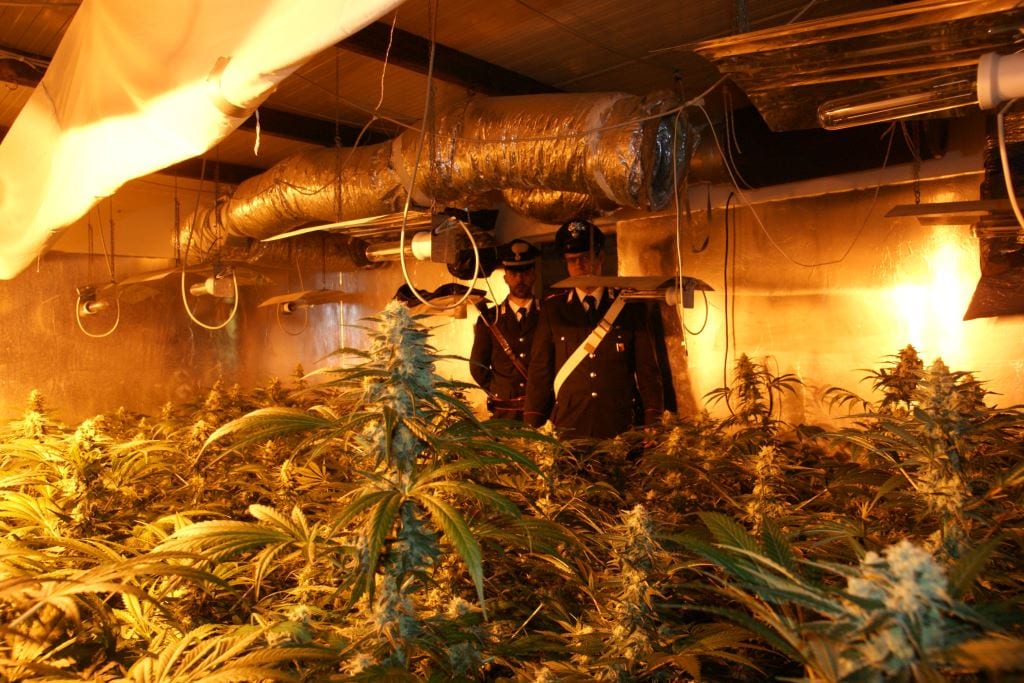 Partinico-Armi e coltivazione di cannabis in casa, arrestato muratore