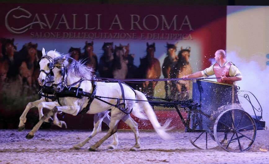 Calatafimi-Segesta-Torna “Sicilia Alleva”, terza edizione