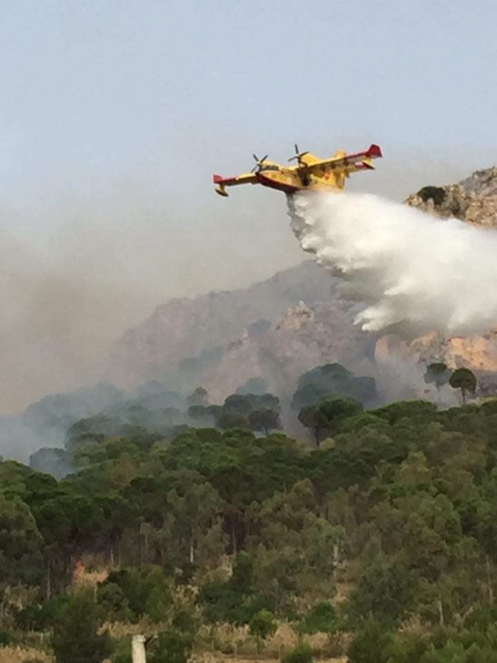 C/mare del Golfo-Il sindaco: “occorre dichiarare stato di emergenza”