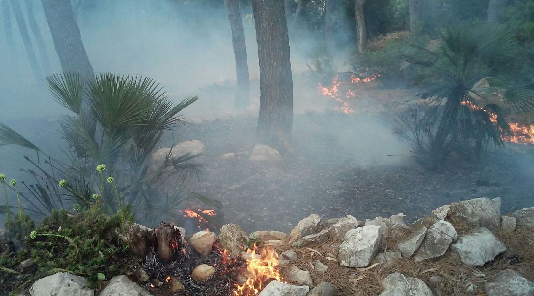 Castellammare del Golfo-Bilancio incendi pesantissimo: 200 ettari in fumo, 90 di bosco