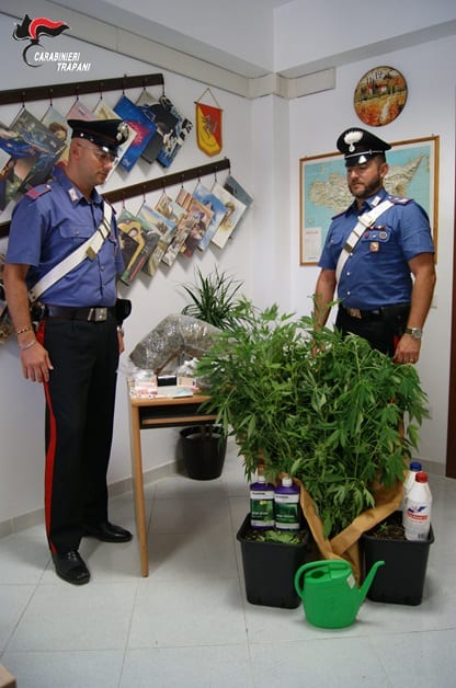 Mazara del Vallo-Piantagione di cannabis in veranda, arrestato