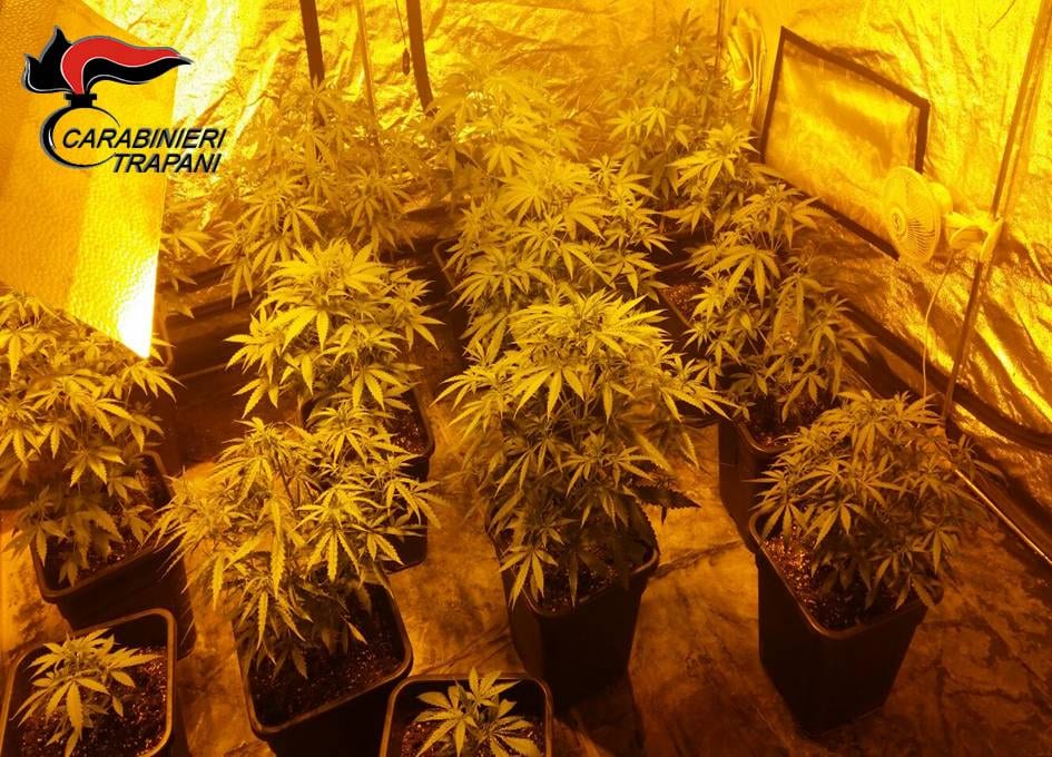 Pantelleria- Detenzione di stupefacenti e furto di energia elettrica, in arresto 20enne