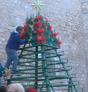 Alcamo-Piantine degli alberi di Natale agli studenti