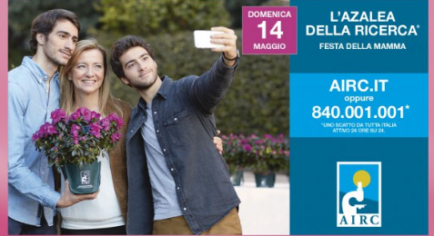 Alcamo-Festa della Mamma, torna l’azalea della ricerca