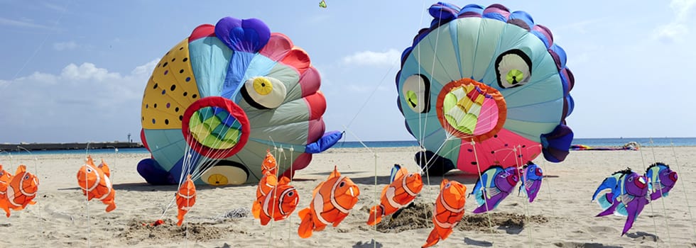 San Vito Lo Capo-Torna il Festival Internazionale degli Aquiloni, 9° edizione