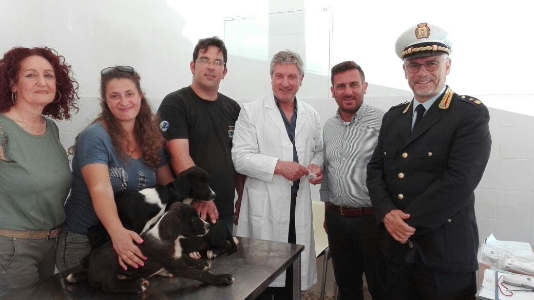Castellammare del Golfo-Il Comune istituisce l’anagrafe canina: iscrizione alla polizia municipale