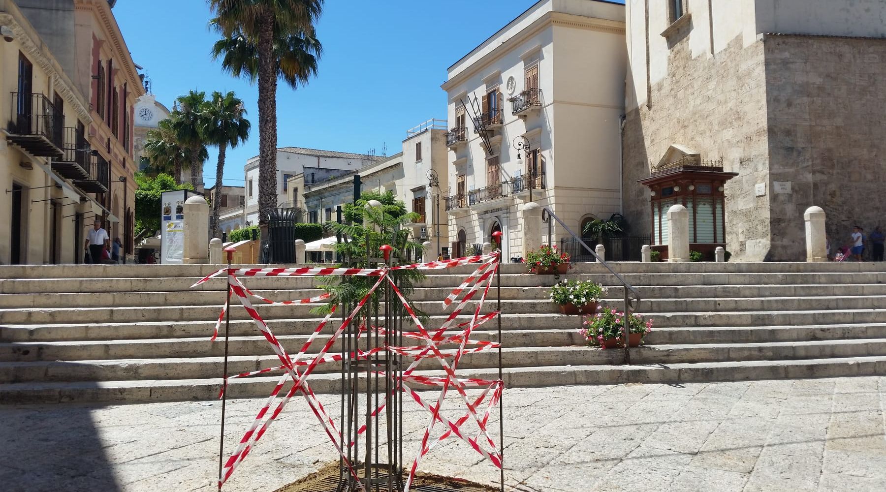Alcamo-Piazza Mercato, un salice piangente dove c’era la jacaranda