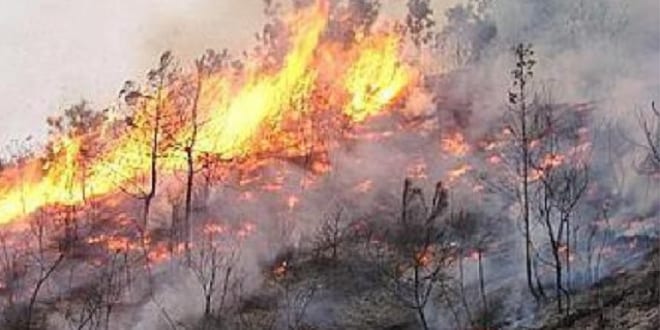 Altra domenica di fuoco nel trapanese: da Macari fiamme fino allo Zingaro
