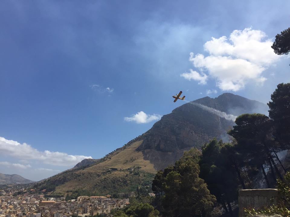 Castellammare del Golfo-Emergenza incendi, l'associazionismo reagisce: parte la mobilitazione (VIDEO)