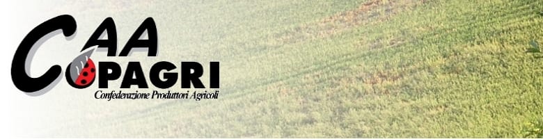 Emergenza siccità. Chiesti interventi per l’agricoltura del Trapanese