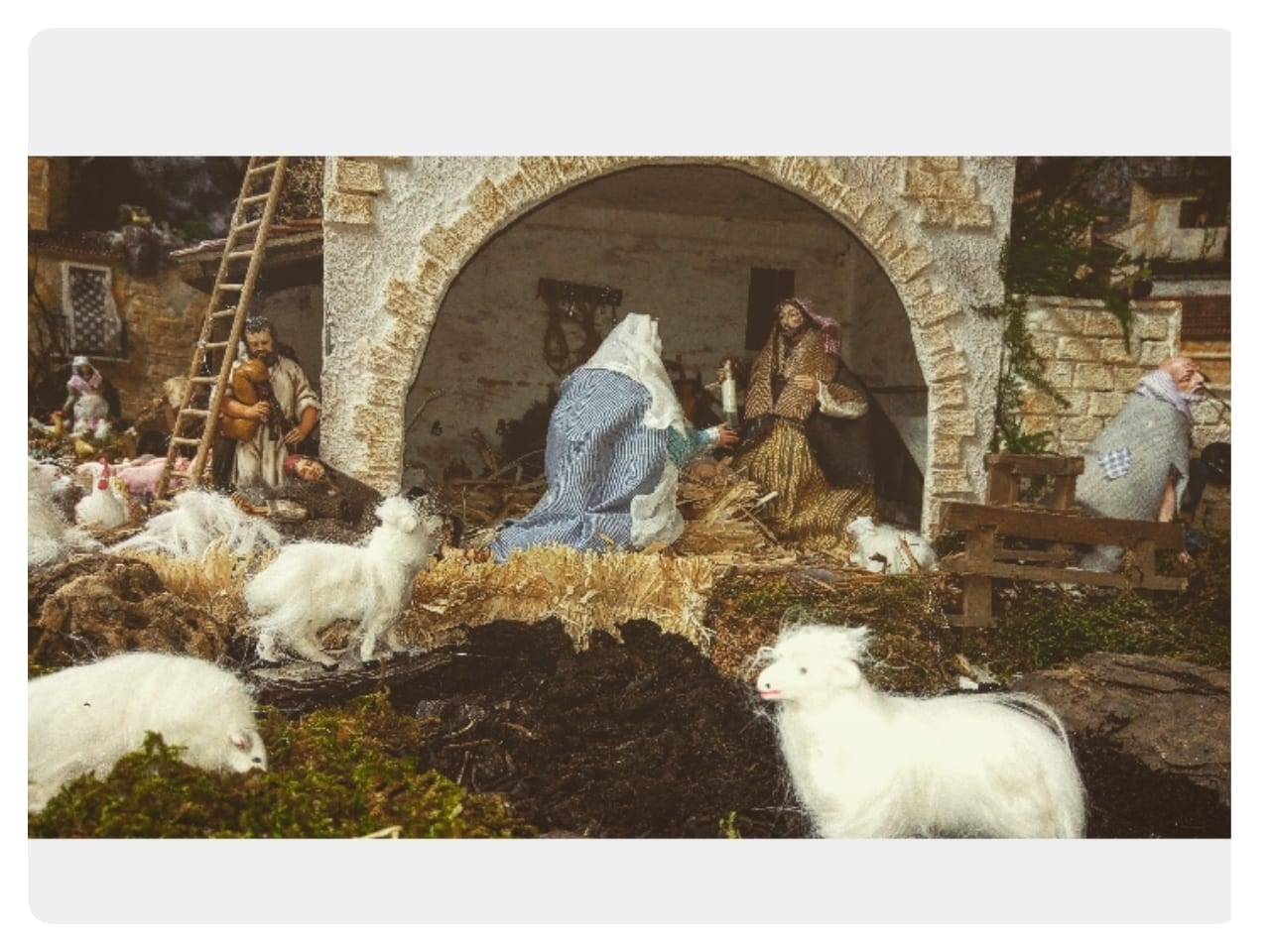 Alcamo - Visite al presepe di via Montesanto, raccolte 3 tonnellate di alimentari