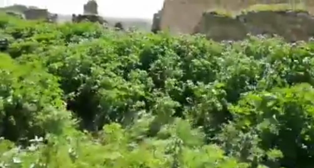 Alcamo-Castello Calatubo torna accessibile, al lavoro i volontari