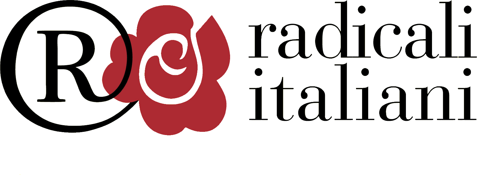 Castellammare. Assemblea dei radicali per la modifica di otto leggi