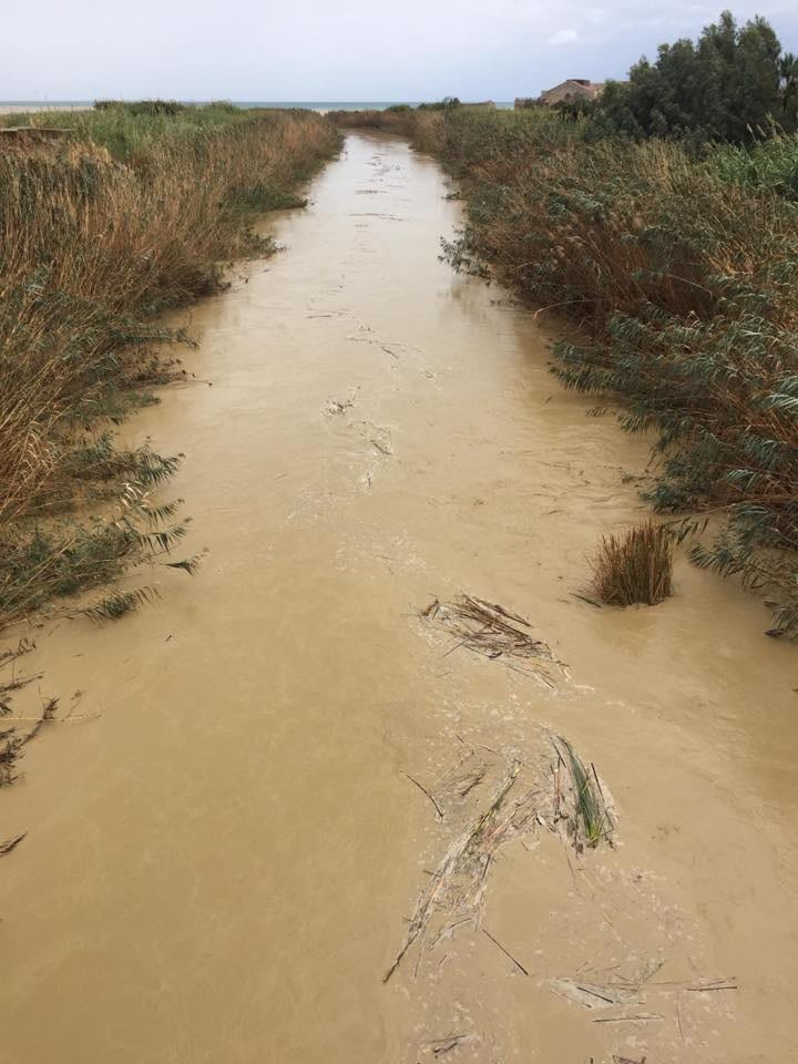 Maltempo Ad Alcamo, tetti e alberi divelti. Esodato il Fiumefreddo