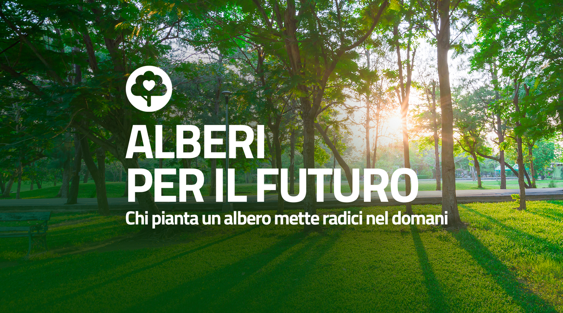 Alcamo. Iniziativa del M5S. Volontari mettono a dimora alberi