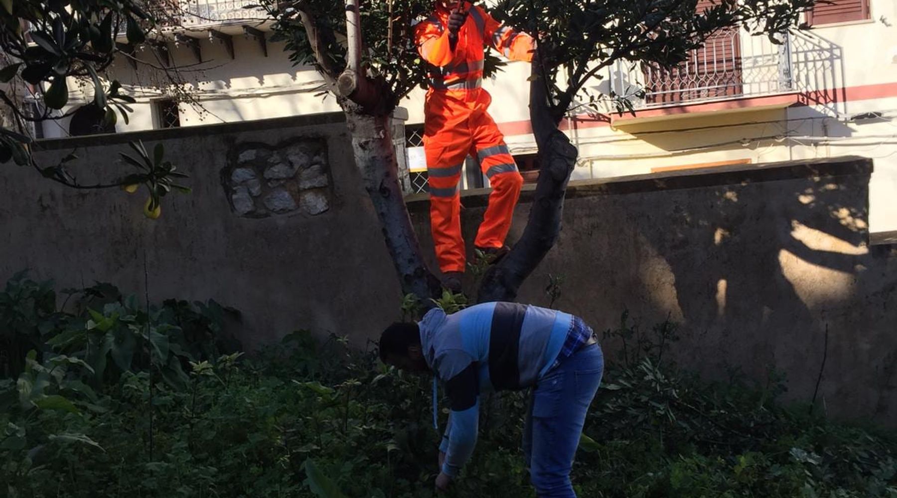 Castellammare del Golfo, restyling verde nelle ville e nelle strade: al via lavori di pubblica utilità