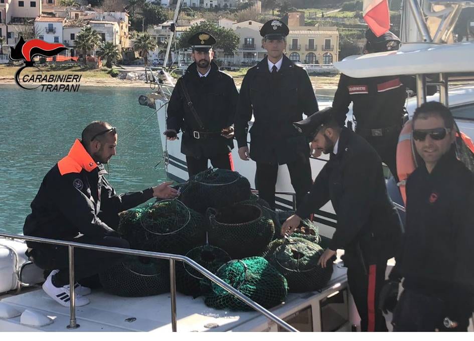 Castellammare del Golfo, pescatori di frodo con 15 mila ricci di mare: maxi multa