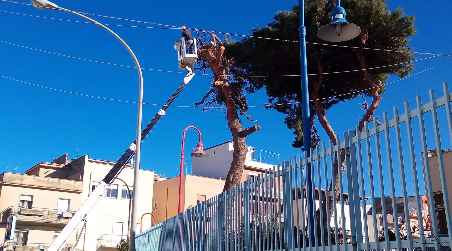 Alcamo, alberi a rischio crollo nell'asilo "Salgari": parte messa in sicurezza