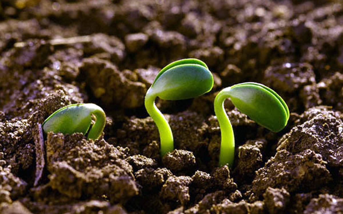 Alcamo. Promozione dell'agroecologia