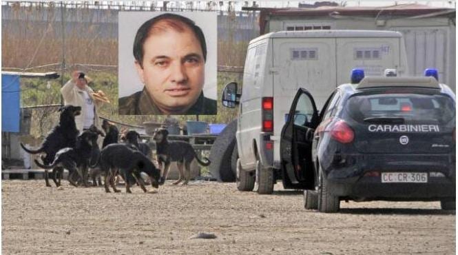 Alcamo. Maxi risarcimento alla famiglia. Morì sbranato dai cani, arriva la sentenza definitiva