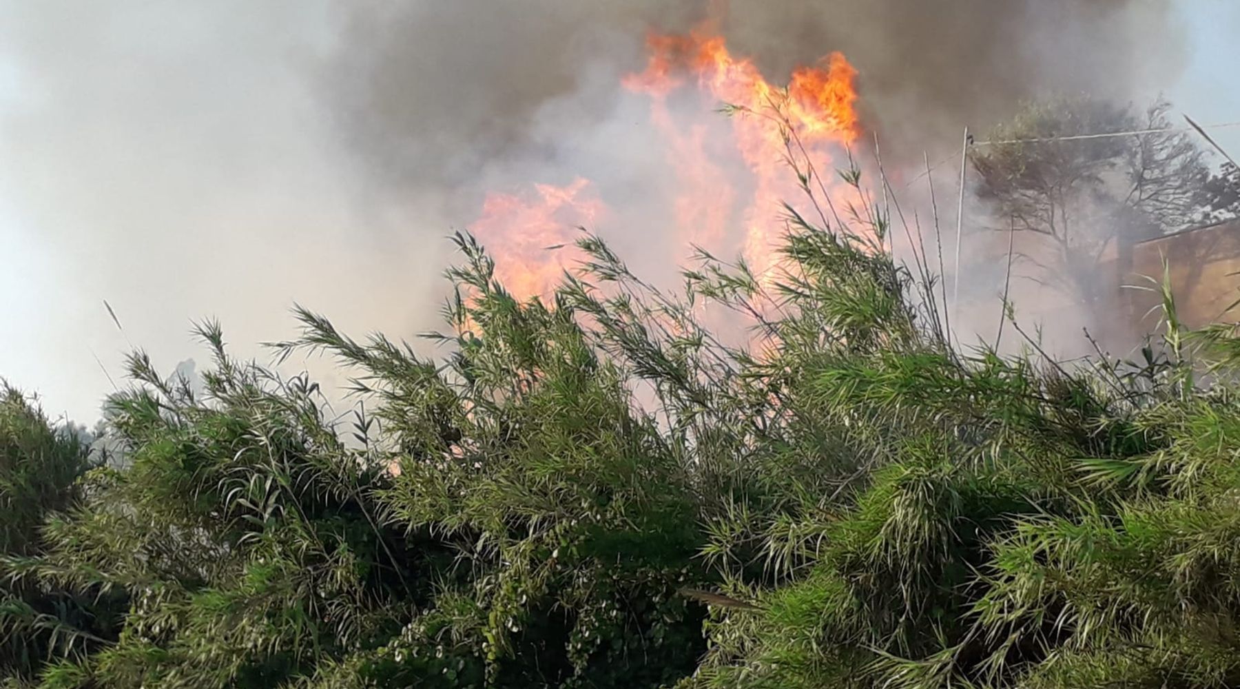 Trapanese, in fiamme Alcamo e Castellammare