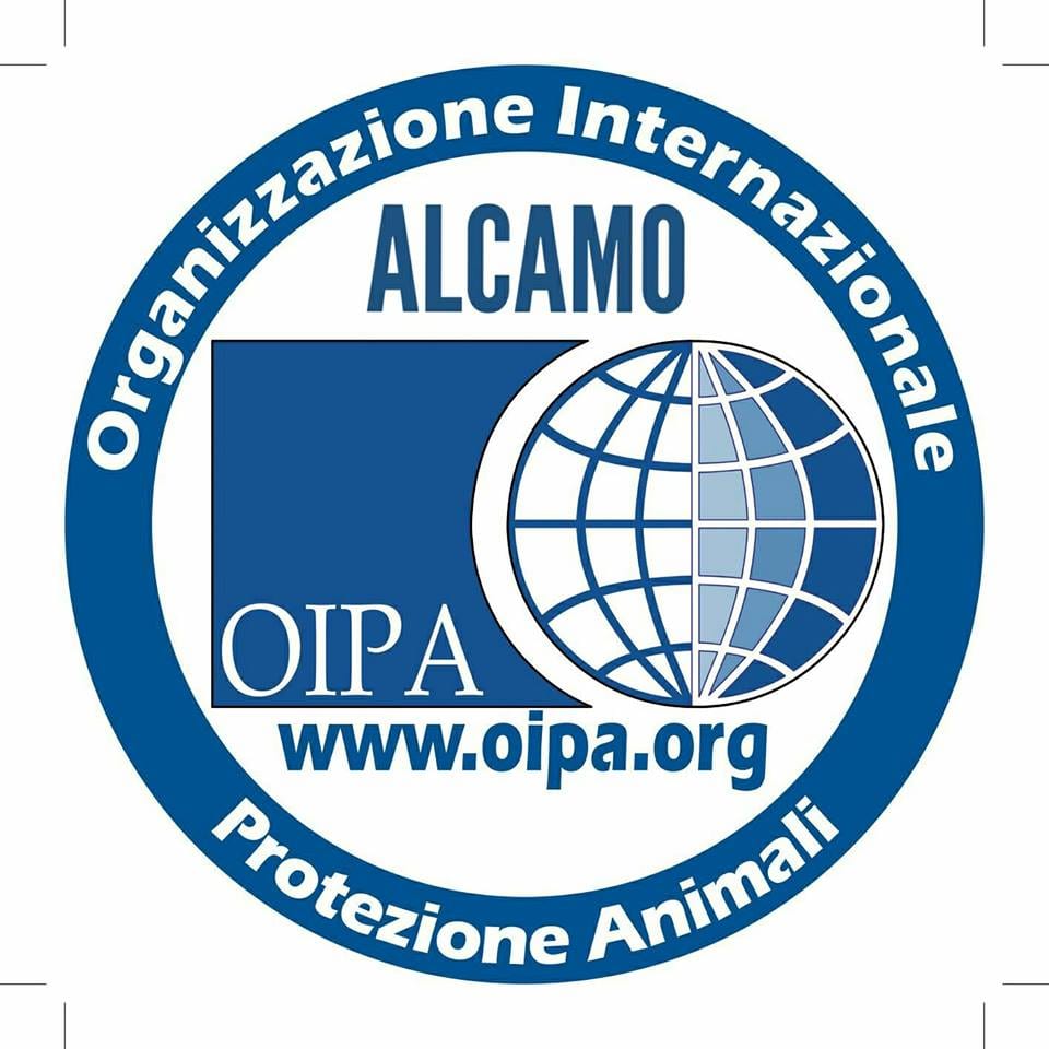 Alcamo, rifugio sanitario chiuso. Insorge OIPA