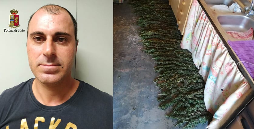 Alcamo, coppia spacciava in un casolare. Sequestrati 16 KG di marijuana