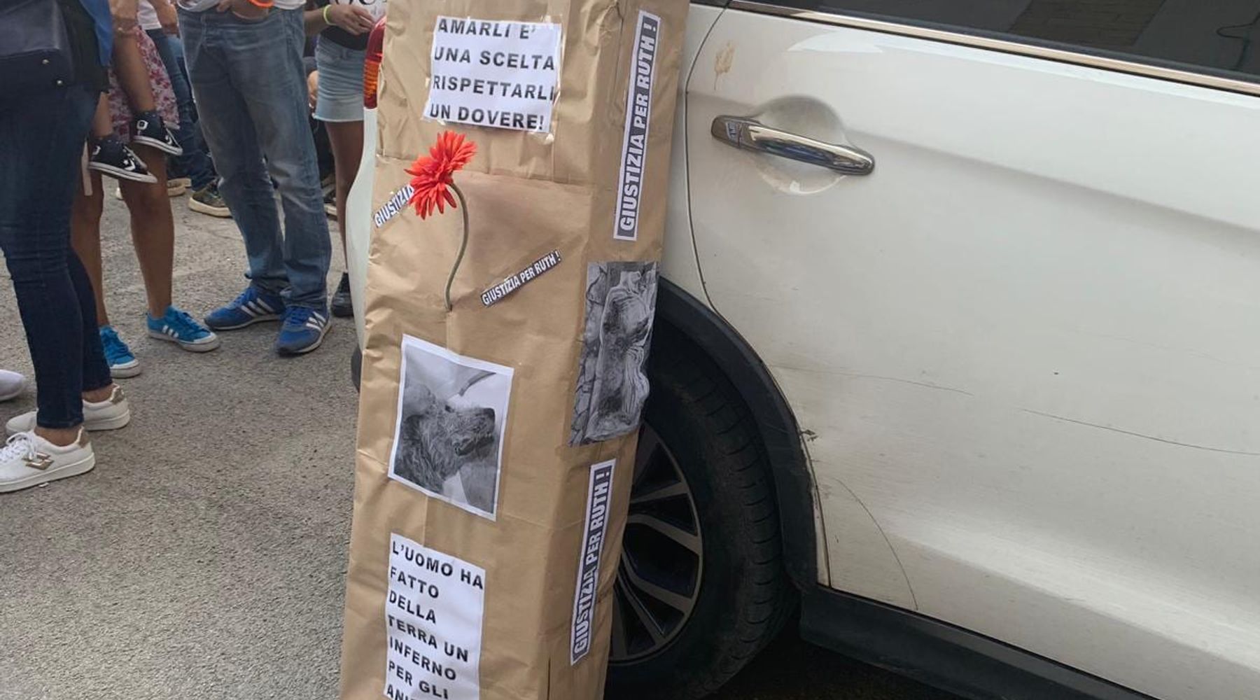 Partinico, giustizia per Ruth. Corteo di animalisti