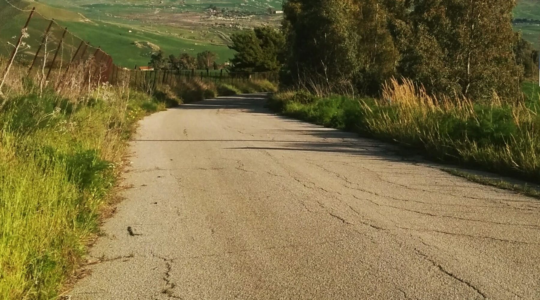 Strade rurali, Regione finanzia altri progetti. Interventi fra Castellammare, Calatafimi e Buseto