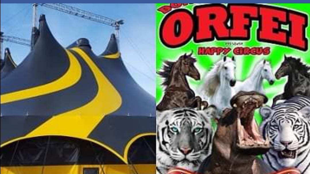 "Happy Circus" con artisti e attrazioni di livello. A Mazara unica tappa nel trapanese