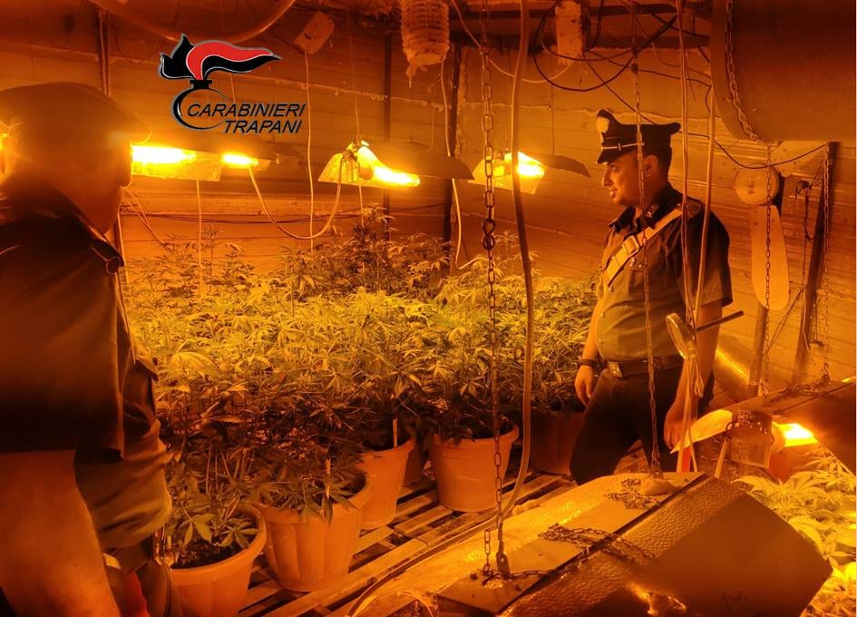 Alcamo, arrestato sorvegliato speciale. Trovate piantagione di droga e arma artigianale