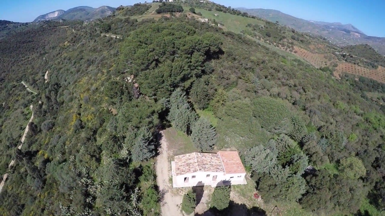 Angimbè, bosco sfiorato dalle fiamme. Un elicottero evita il peggio e salva il "polmone verde"