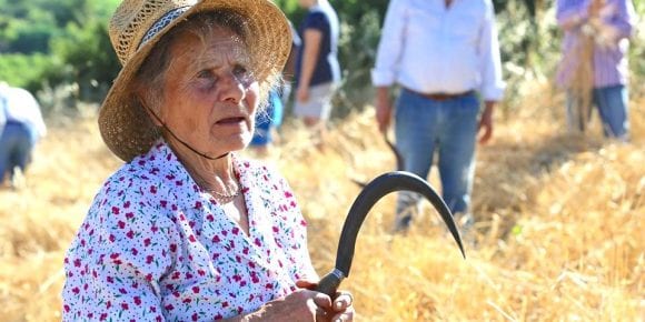 Salemi, anziana picchiata brutalmente e abbandonata in una scarpata
