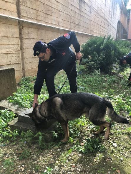 Alcamo, Trovata droga in un istituto superiore. Sopralluogo a sorpresa dei CC