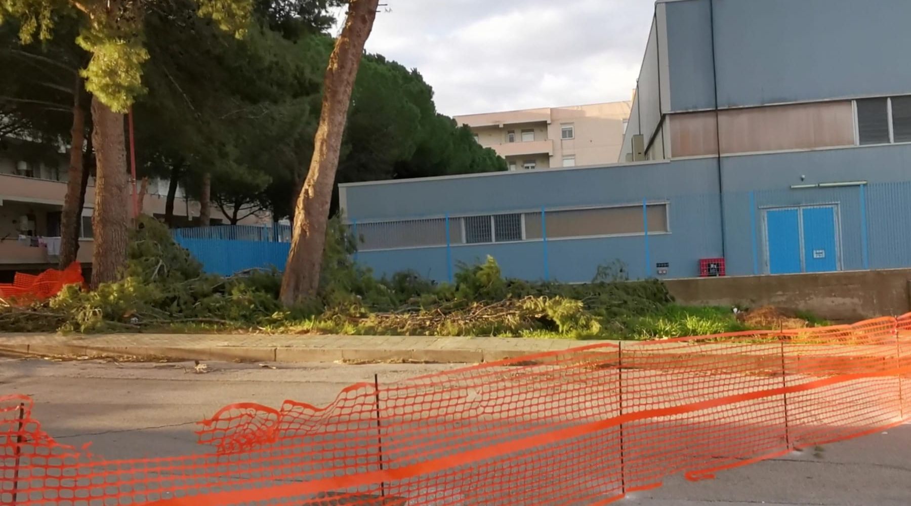 Forte vento del 13 dicembre. Comune di Alcamo lento a rimuovere i danni, chiuso l'ingresso del PalaTreSanti