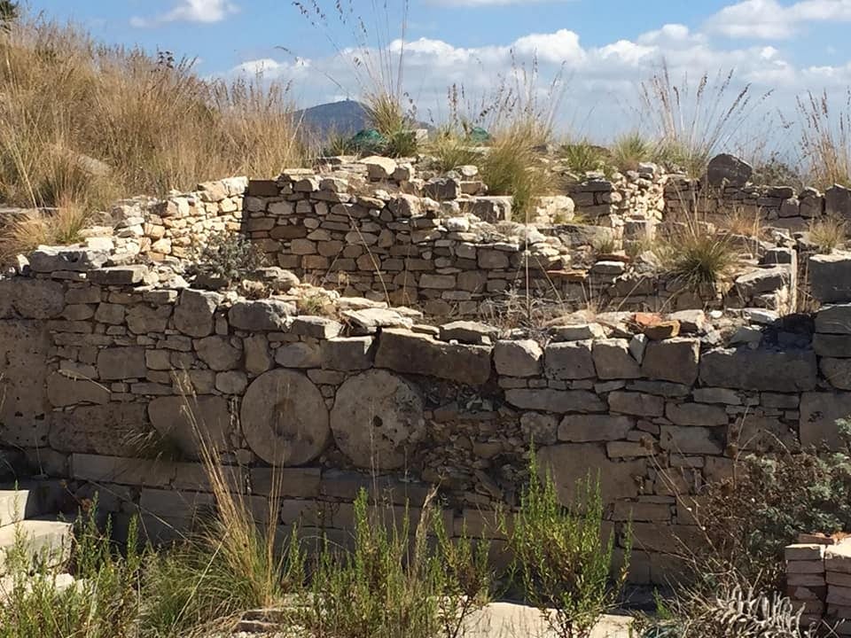 Segesta, un patrimonio da scoprire e valorizzare. Nuovi scavi ed eventi