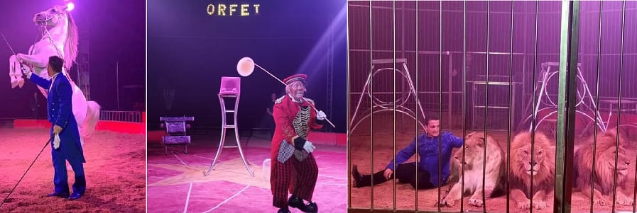 Trapani, torna il circo in piazzale Ilio. Il Comune lo concede per pochi giorfni