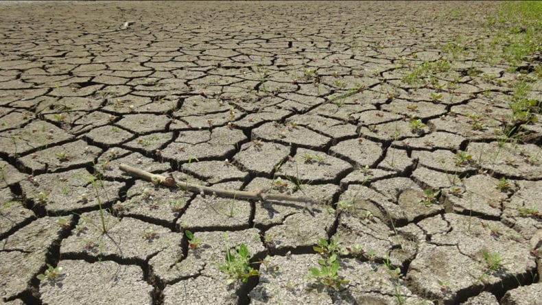 Niente piogge, Inverno secco, agricoltura in ginocchio