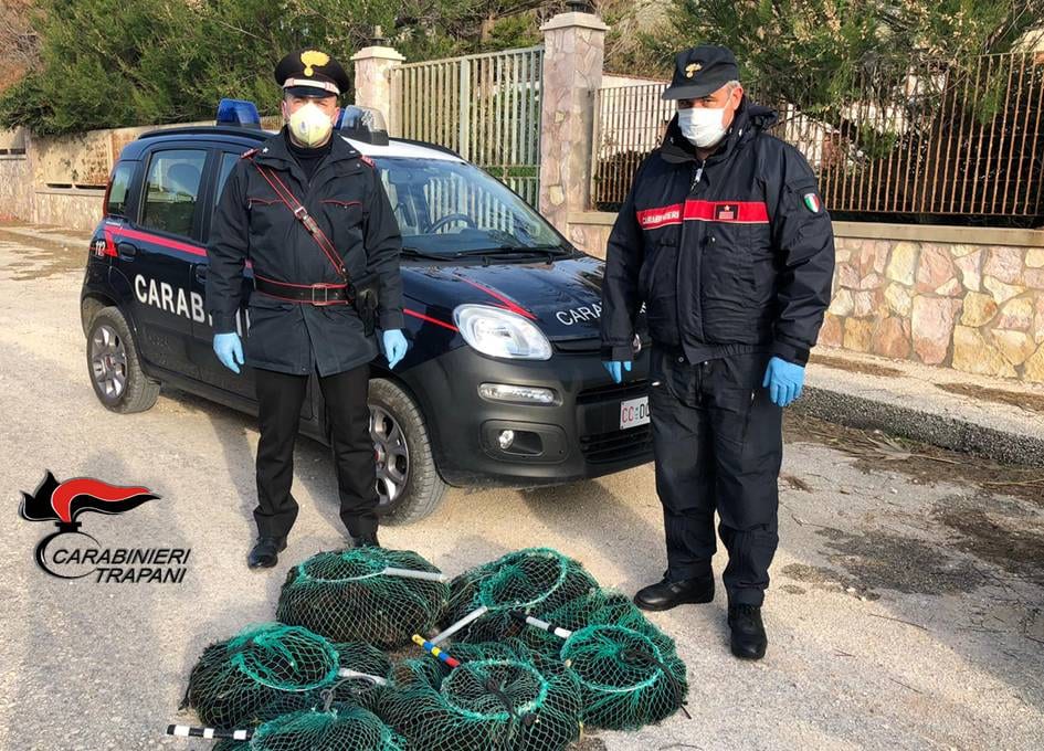 Pesca di frodo a Pizzolungo, 4.400 euro di sanzioni. Trecento ricci rigettati in mare