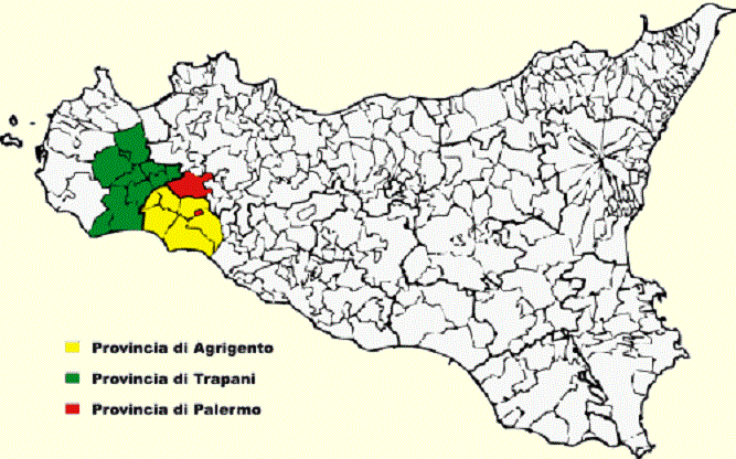 Altre sette guarigioni nel trapanese, quattro a Salemi. Comuni belicini "virus-repellenti"