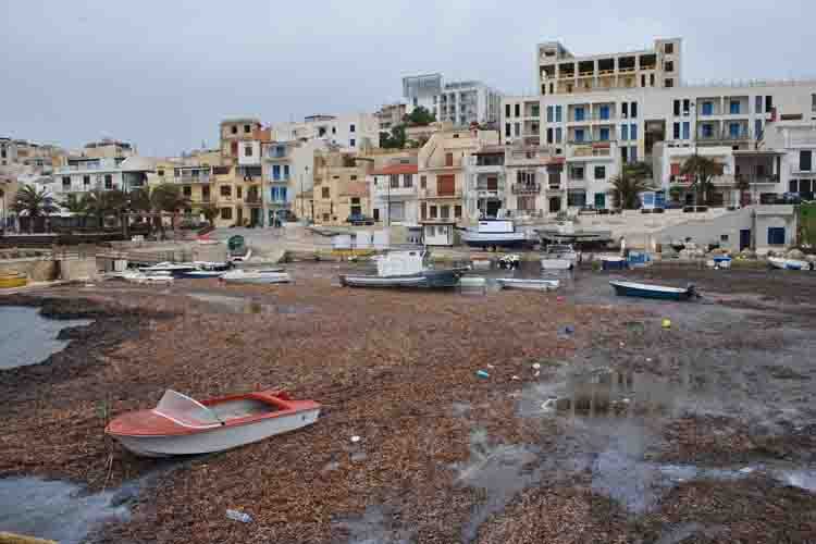 Porto di Marinella, a settembre via ai lavori? Scilla (Forza Italia) sostiene di si
